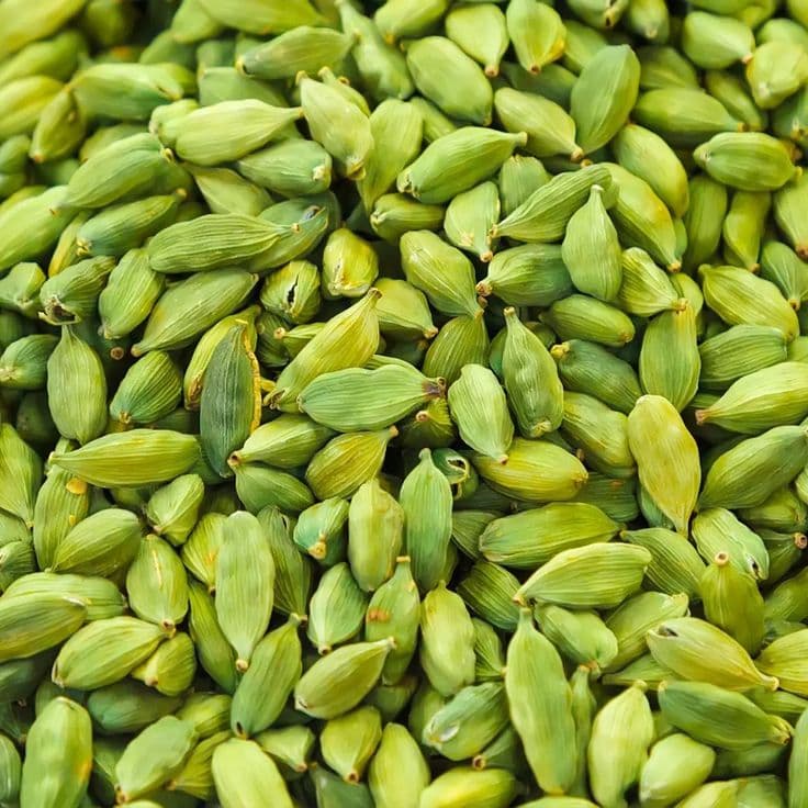 Cardamom 