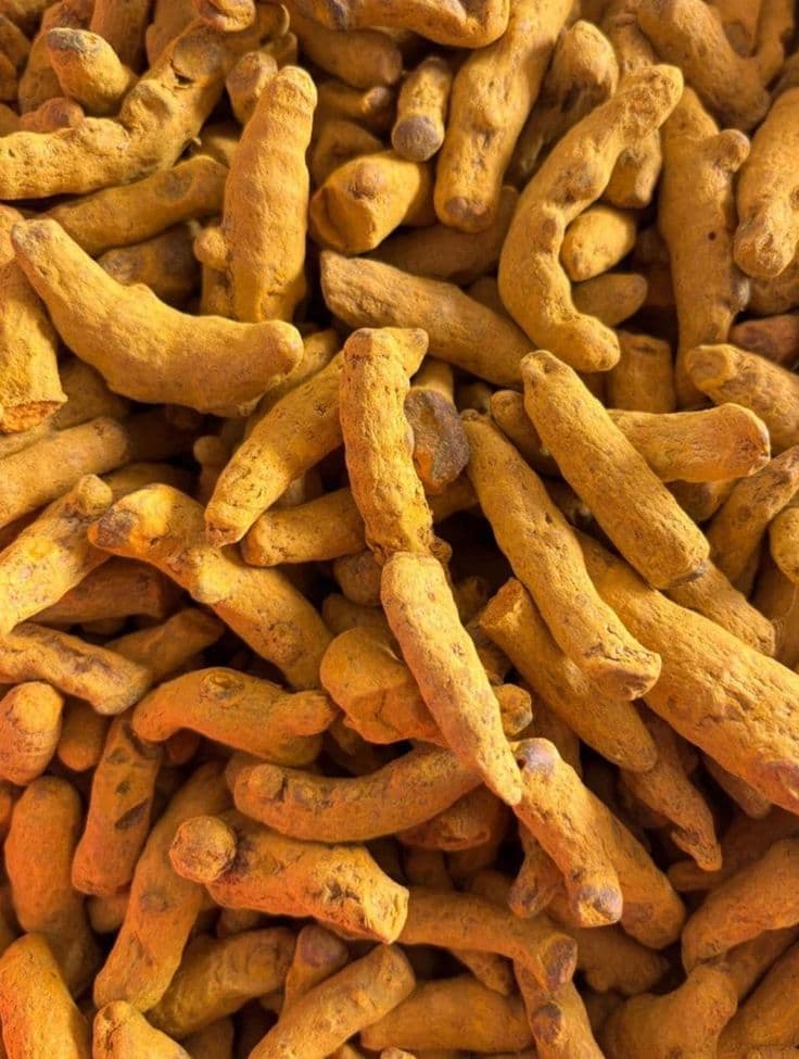 Turmeric 